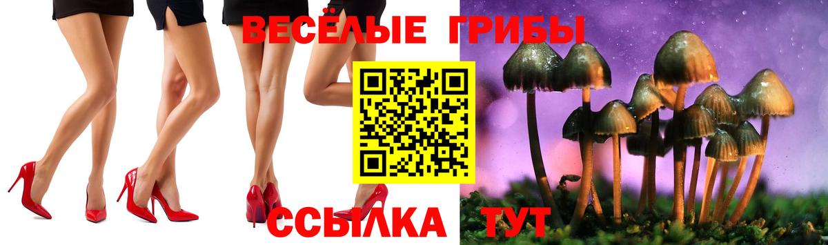 Галлюциногенные грибы Psilocybine cubensis  Вход с VPN  Ковров 
